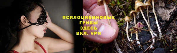 сатива Лихославль